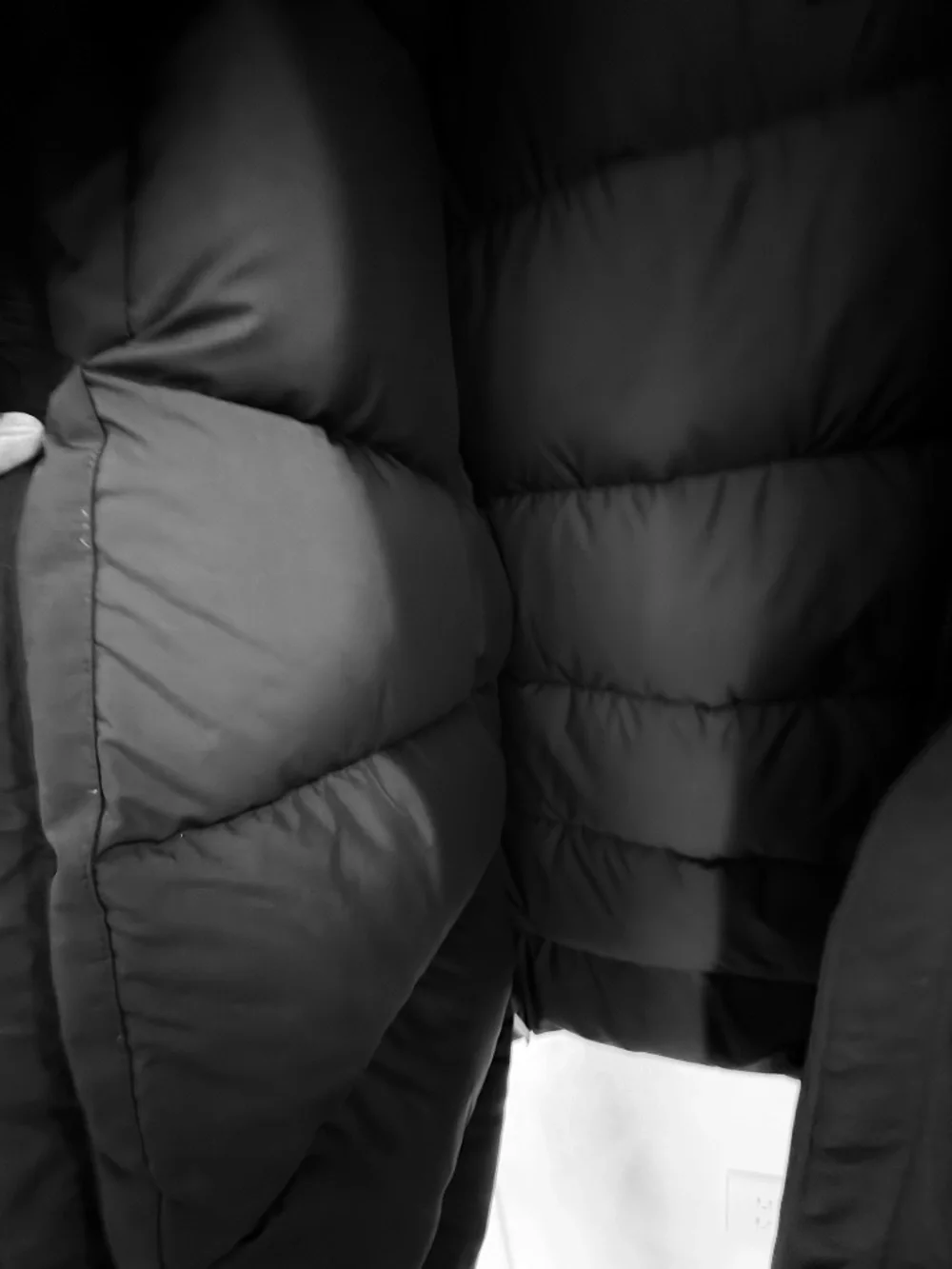 The North Face this large